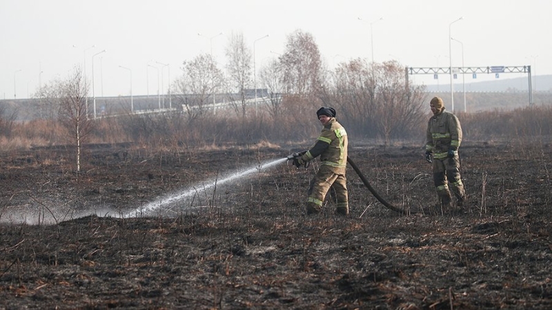 На охрану лесов от пожаров направили 370 млн рублей в Нижегородской области