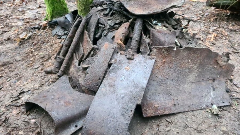 Обломки упавшего во время ВОВ самолета нашли в Калининградской области
