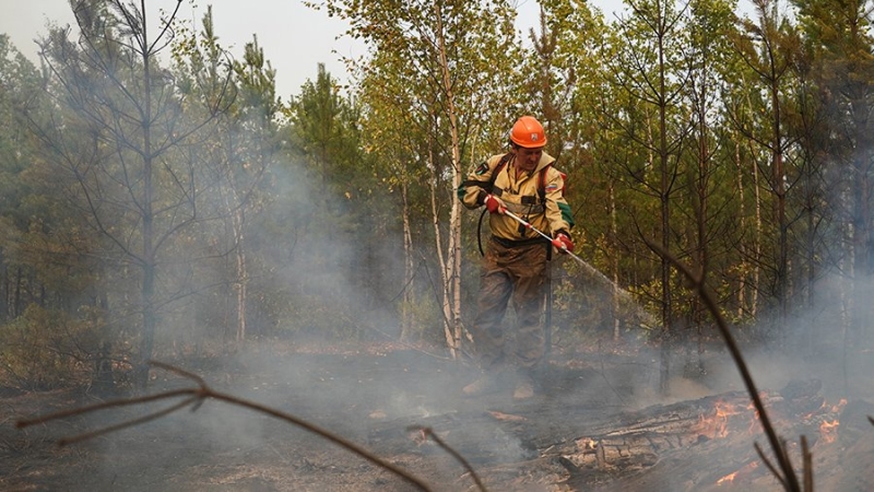 Порядка 300 пожаров потушили за неделю в Рязанской области