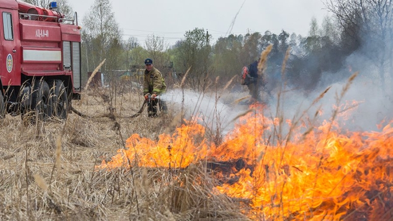 Пожароопасный сезон объявили в Омской области