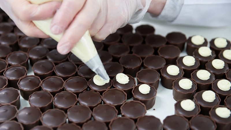 Шоколадную фабрику запустят в Подмосковье по программе «Земля за 1 рубль»