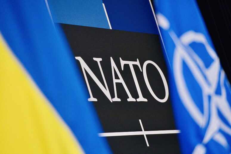 «Украина — не Финляндия»: в Киеве сочли «утопией» мечты Зеленского о вступлении в НАТО